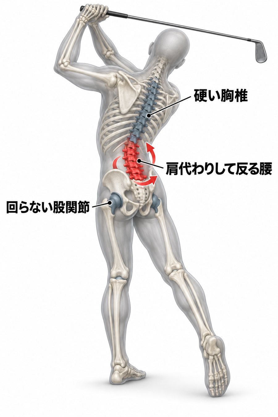 胸椎が硬く股関節が回らないと、その分の反りとひねりを腰が肩代わりすることを示す図