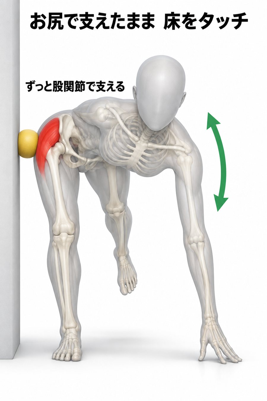 壁に寄りかかったまま壁側のお尻で支え、股関節から前に倒れて手で床をタッチして戻るエクササイズの図